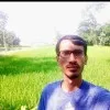 Tanu Deb