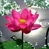 Shampa chowdhury