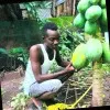 Bakary Jammeh