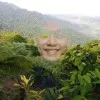 Ahmad Komarudin