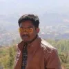 Nilesh Pal