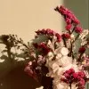 Hadia Zafar