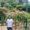 Deepak Maurya