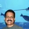 Shiju