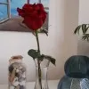 Khira