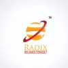 Radix Reliance Consult