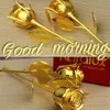 Sunny Padhi