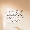 Zahid Jutt