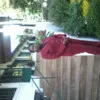 Lillian Maina
