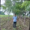 Suraj Patil