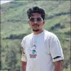 Saran