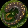 Newt