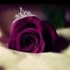 Fathima Hassana