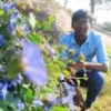 BELLURI MALLIKARJUN
