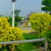 Jabeen Akhtar