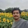 sham jujare