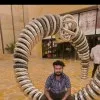 Pawan Maurya