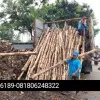 Lukman Hakim