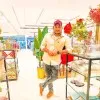 Vishnu reddy