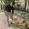 Pratik Desai
