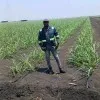 Desire Tafadzwa Nyagato