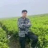 muhammad iskandar