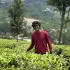 Amruth Ambrish Krishnamoorthy