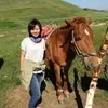 Xinxin Ren