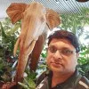 Tarun Kumar