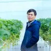 Diep Lam