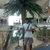 NoeDellosa