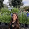 Sarah Haber