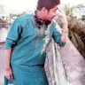 Debjit Dasgupta