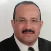 Hisham Hassan