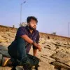 Faham Shamim