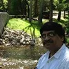 Rashid Ali