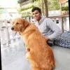 Ankit Sen