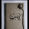 Zeinab Mohamed