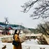 Thi Thu Huong Le