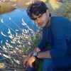 rehman ali