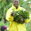 Mutindi Farms