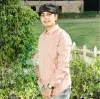 Krishna Mehta