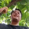 Gabriel alvarez hernandez