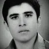 Rasol Lotfi