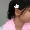 Premi Roy