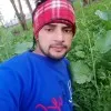 Arman saifi