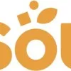 SOL Group