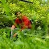 Manish Rajput