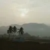 HaseenTaj Shaik