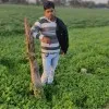 Sumit Rajput